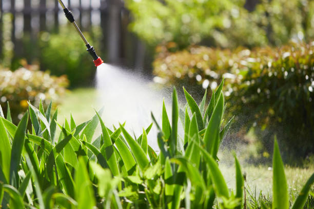 Tamper-Resistant Bait Stations for Rodents in Conway Springs