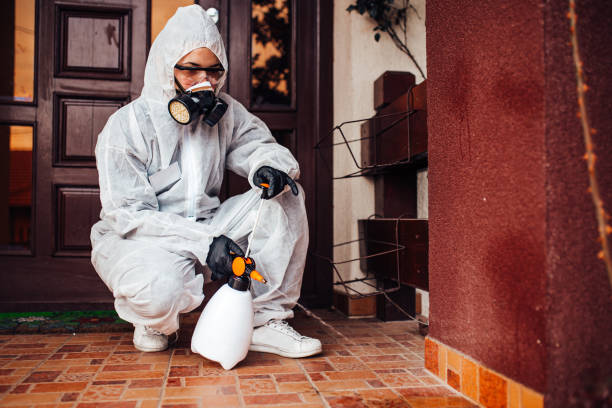 Attic and Crawl Space Rodent Treatment in Conway Springs