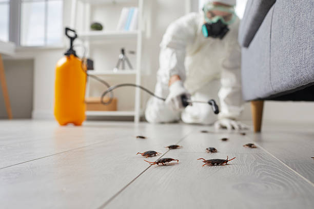 Commercial Rodent Management in Conway Springs